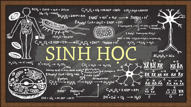 Môn Sinh học