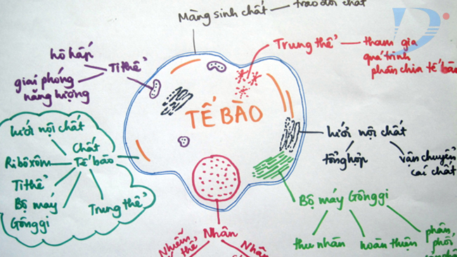 Cách tạo đề thi Sinh lớp 10 trên hệ thống AZtest