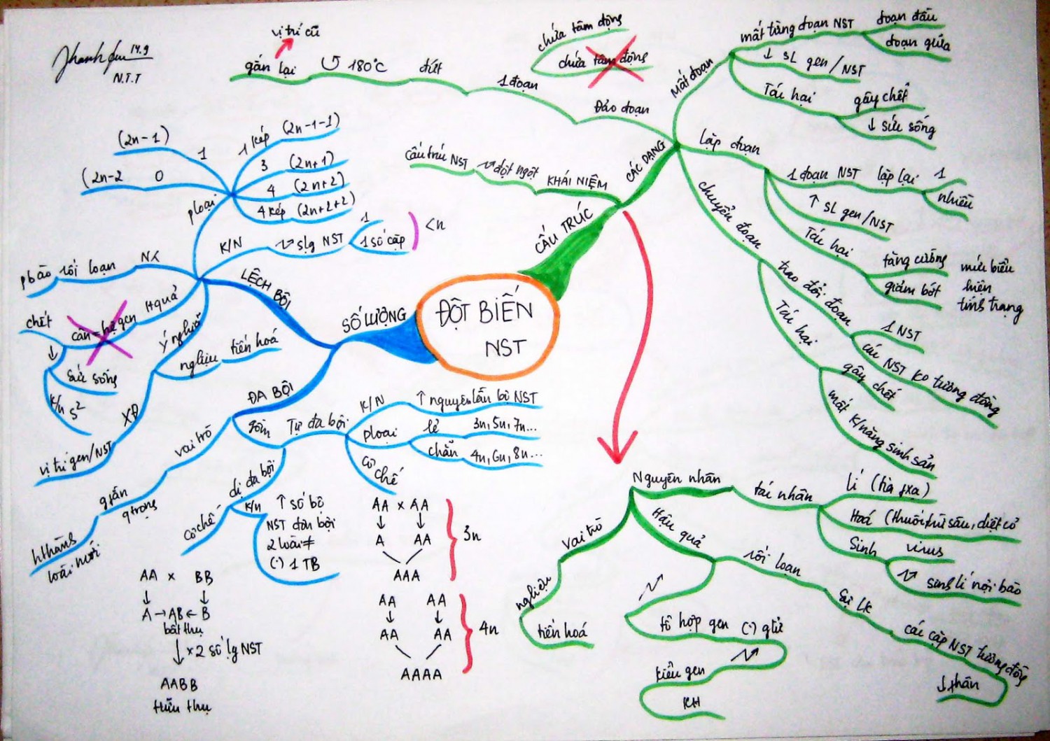 Cách tạo đề thi trắc nghiệm môn Sinh lớp 7 học kỳ I